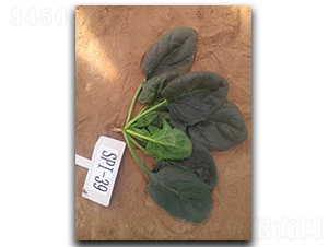 ����Խ����-���˷N��