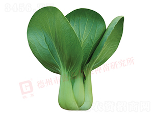 ���_������-�¸�725-�๣�˷N��-�¸�