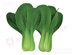 �ľG2̖-�๣�˷N��-�¸�