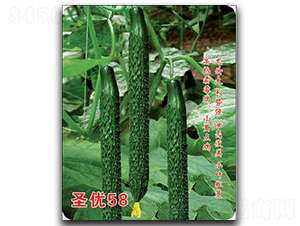 ʥ��(y��u)58-�S�ϷN��