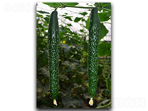 �ۃ�(y��u)9̖(h��o)-�S�ϷN��