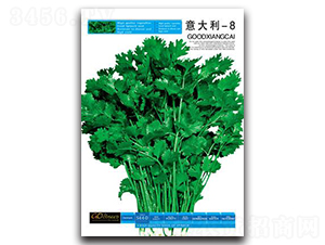 �����-8-��˷N��-�Έ@����