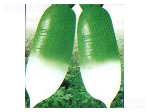 �נ�-�}���N��-�Έ@����