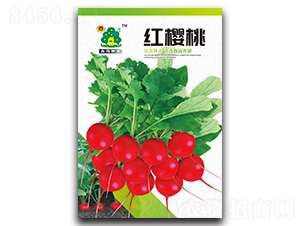 �t����-�}���N��-�Έ@����