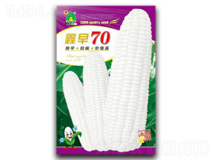 ����70-���׷N��-�Έ@����