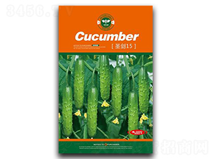 ʥ��15-�S�ϷN��-�Έ@����