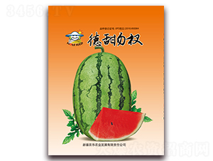 �������-���ϷN��-�r(n��ng)���r(n��ng)�I(y��)