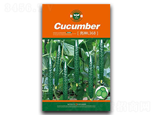 ����L368-�S�ϷN��-�Έ@����