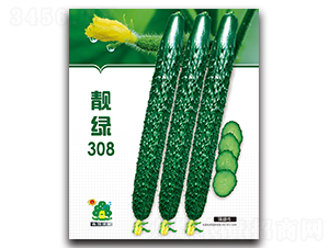 �n�G308-�S�ϷN��-�Έ@����