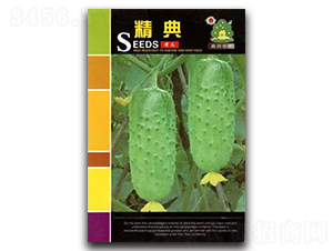 ����-�S�ϷN��-�Έ@����