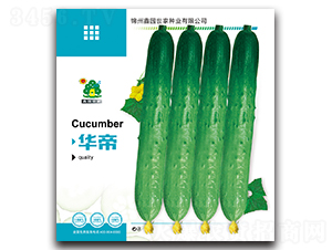 �A��-�S�ϷN��-�Έ@����