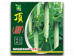 픹Ϲ�-�S�ϷN��-�Έ@����