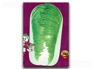 ��o��B-�ײ˷N��-�Έ@����