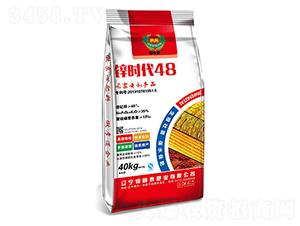 �\�r��48-�\��̩