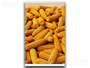 ¡��2065-���׷N��