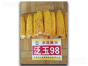 ����98-���׷N��