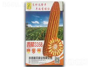 ����3358-���׷N��