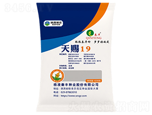 ���n19-���׷N��