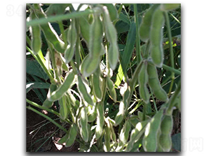 �_(t��i)��75-3-ë���N��-ï�A�N�I(y��)