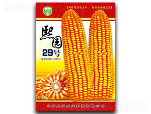 ���@29̖(h��o)-���׷N��-���@�N�I(y��)