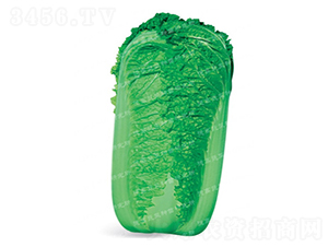 �����[���ײ�-CR118-��ײ˷N��-�¸�