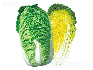 �����[���ײ�-CR69-��ײ˷N��-�¸�