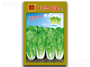 ���d���-�~�˷N��-���d�N�I(y��)