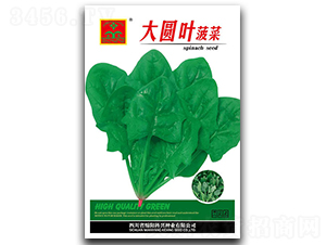 ��A�~����-�~�˷N��-���d�N�I(y��)