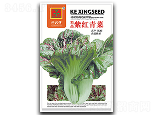 �ϼt���-�~�˷N��-���d�N�I(y��)