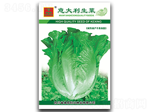 ���������-�~�˷N��-���d�N�I(y��)