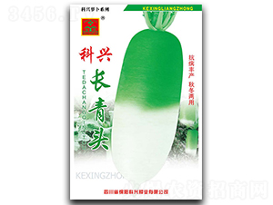 ���d�L���^-�}���N��-���d�N�I(y��)