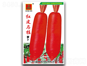 �tƤ�R��-�}���N��-���d�N�I(y��)