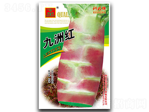 九洲紅萵筍-萵筍種子-科興種業(yè)
