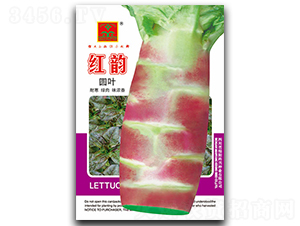 �t�-�n�S�N��-���d�N�I(y��)