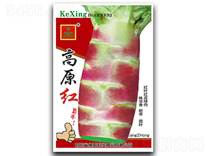 ��ԭ�t-�n�S�N��-���d�N�I(y��)