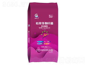 10�|�ݲ�ѿ�ߗU��΢�������-�w����-�S�ؾ�