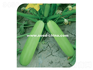 �̹�-�����J�N��-���·N�I(y��)