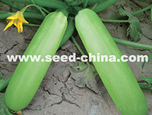 �߿��������G�䡱-�����J�N��-���·N�I(y��)