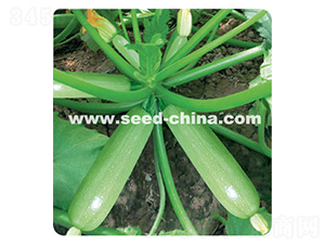 ����-�����J�N��-���·N�I(y��)