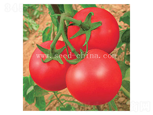 ���݋I-���ѷN��-���·N�I(y��)