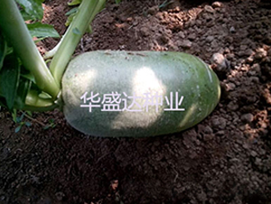 �G��1̖(h��o)ˮ���}��-�}���N��-�Aʢ�_(d��)