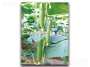 ʢ�_(d��)103-�S�ϷN��-�Aʢ�_(d��)