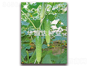 ʢ�_(d��)116-�S�ϷN��-�Aʢ�_(d��)