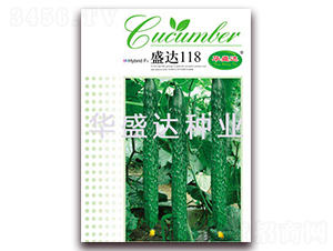 ʢ�_(d��)118-�S�ϷN��-�Aʢ�_(d��)