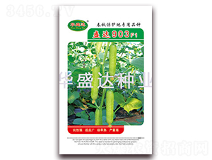 ʢ�_(d��)903F1-�S�ϷN��-�Aʢ�_(d��)