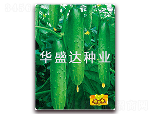 ʢ�_(d��)2̖(h��o)-�S�ϷN��-�Aʢ�_(d��)