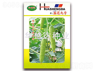 F1ʢ�_(d��)��̖(h��o)-�S�ϷN��-�Aʢ�_(d��)