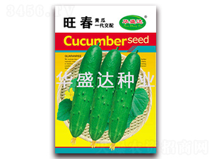 ����-�S�ϷN��-�Aʢ�_(d��)