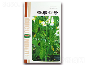 ʢ�S��̖(h��o)-�S���s���N-�Aʢ�_(d��)