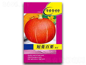 ���������Ϲ�-�ϹϷN��-�β���